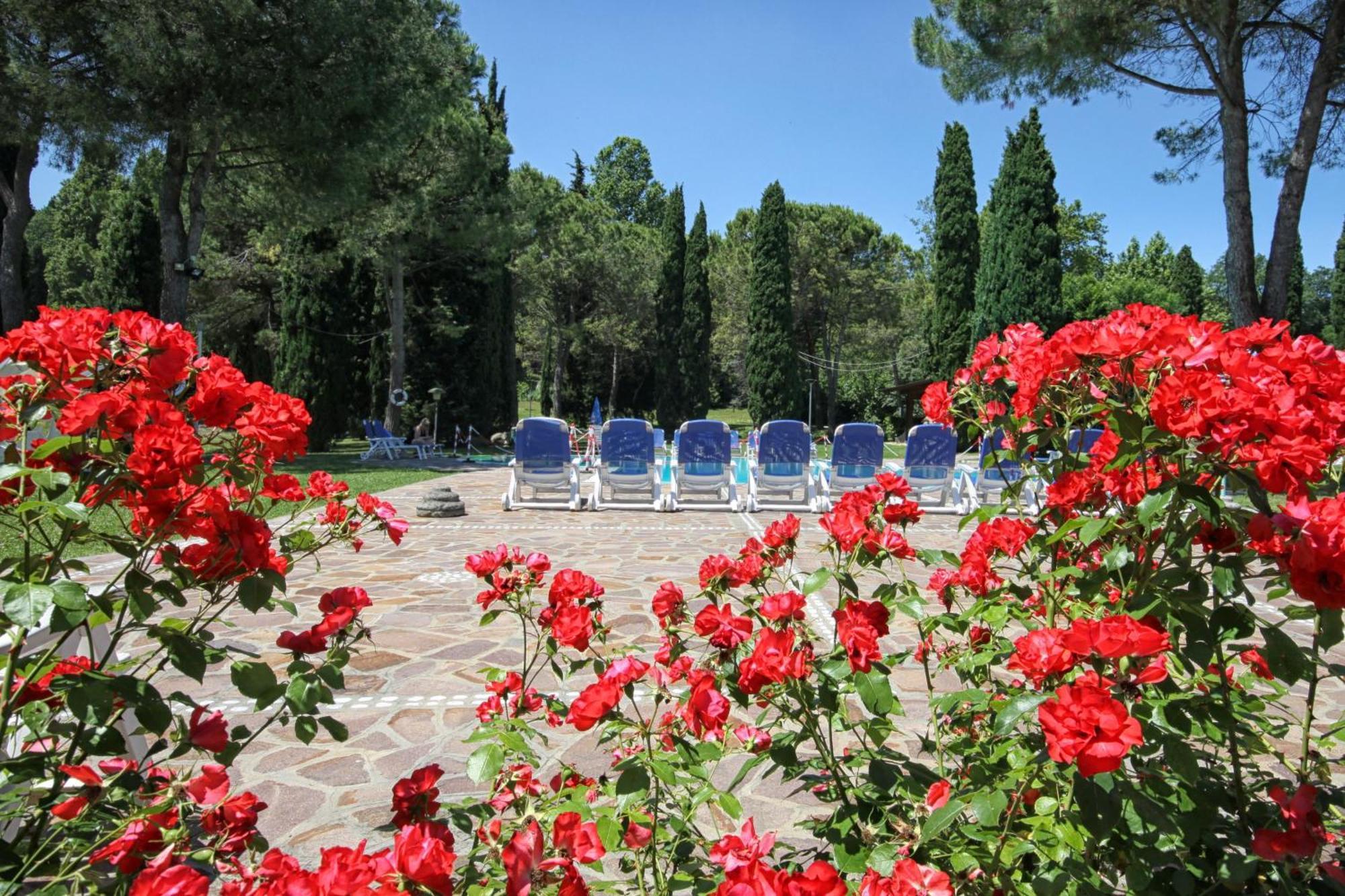 West Garda Hotel Padenghe sul Garda Dış mekan fotoğraf