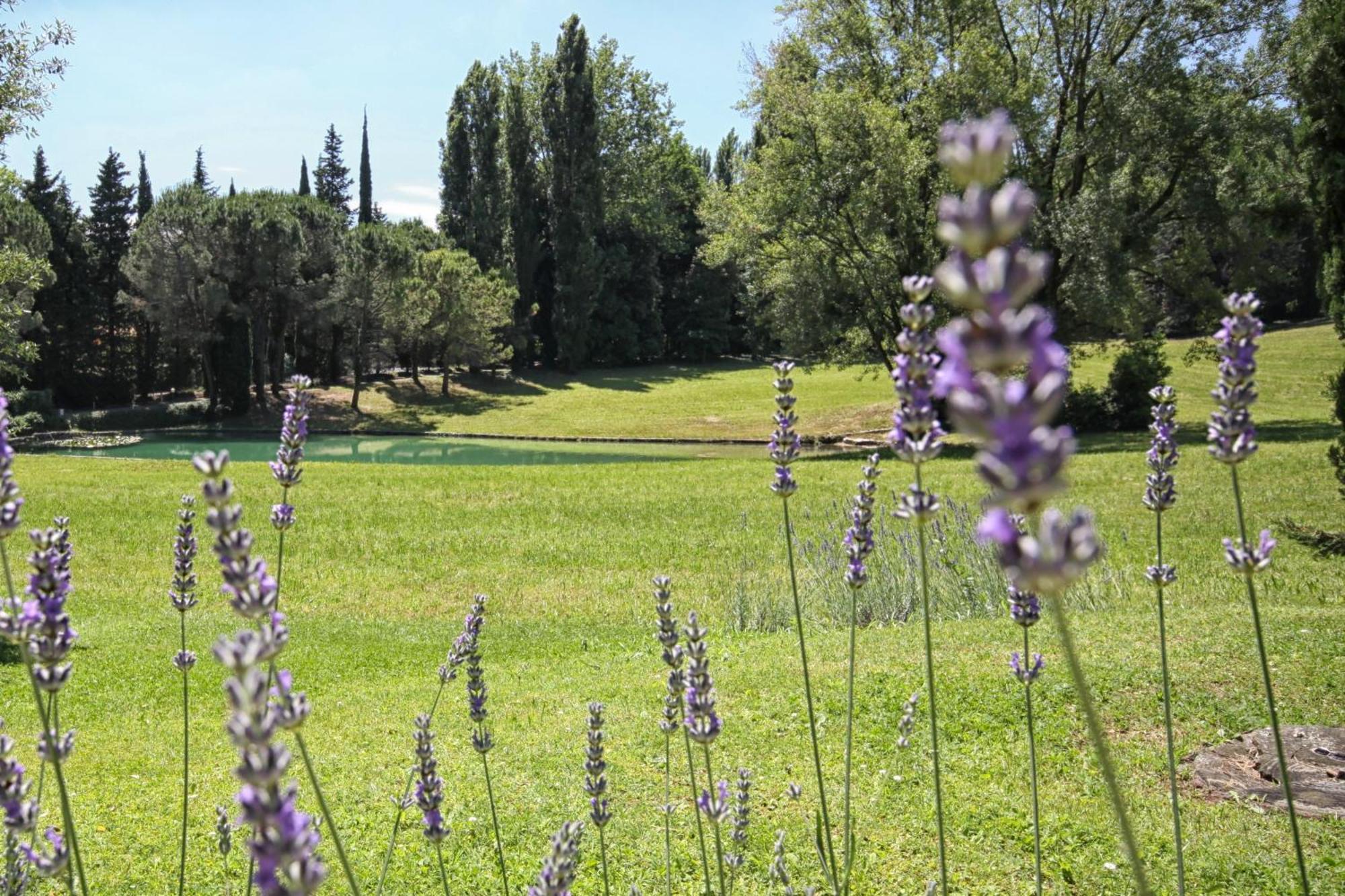 West Garda Hotel Padenghe sul Garda Dış mekan fotoğraf