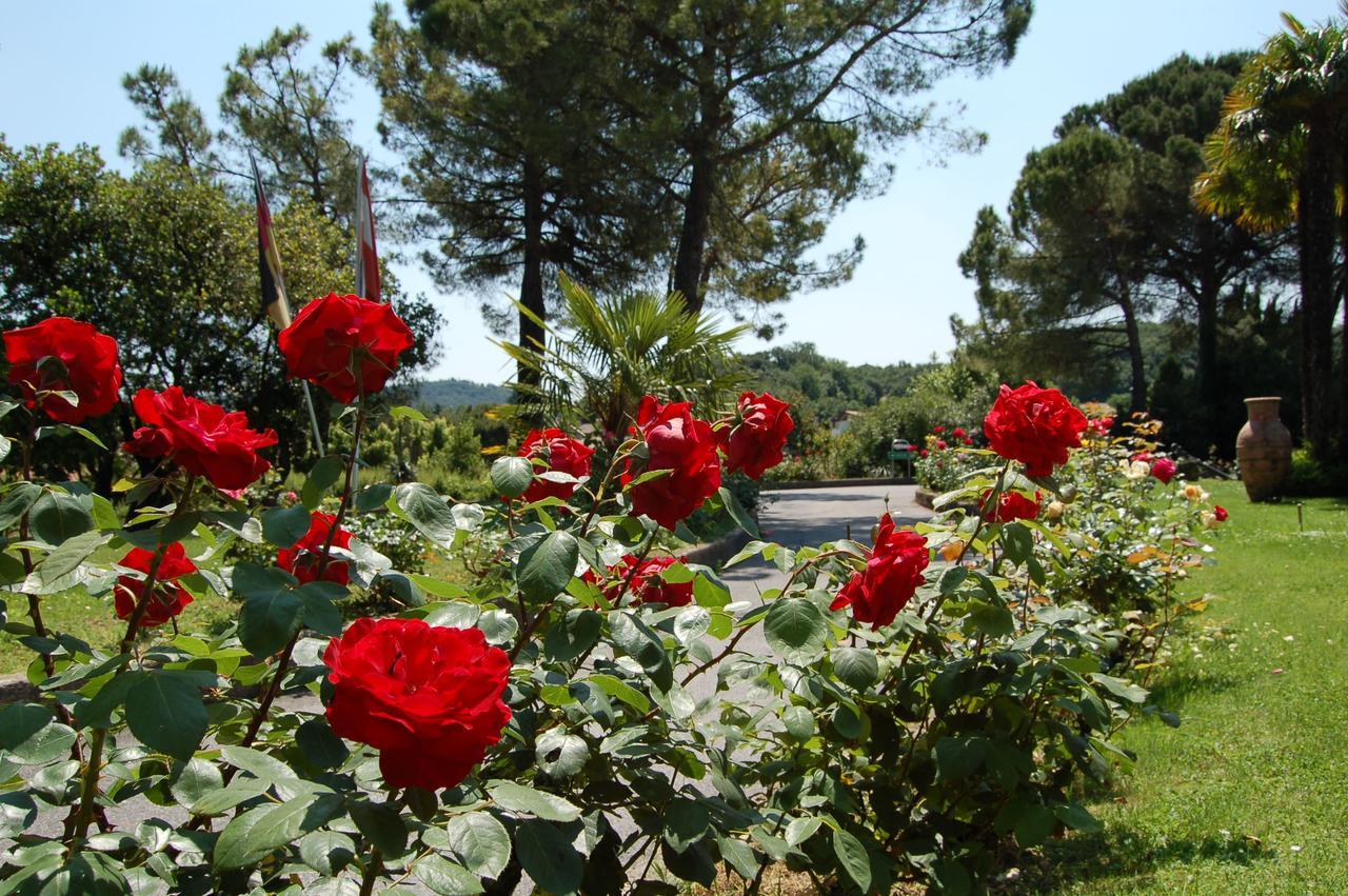 West Garda Hotel Padenghe sul Garda Dış mekan fotoğraf